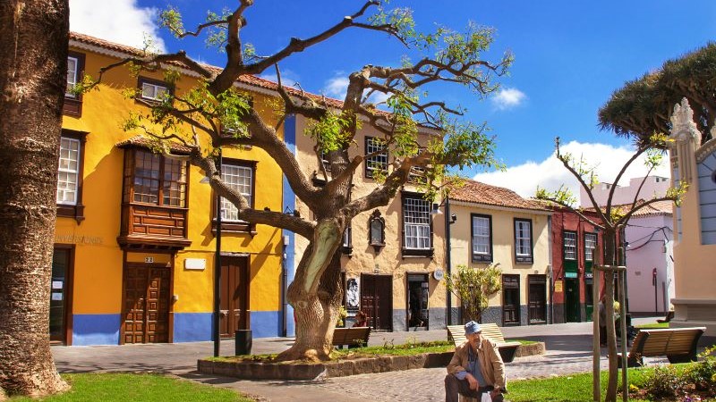 Historiske La Laguna og hovedstaden Santa Cruz (ekskl. frokost)